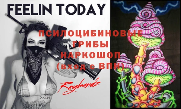 не бодяженный Слюдянка