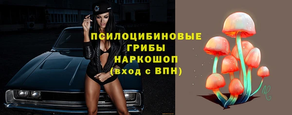 твердый Балахна