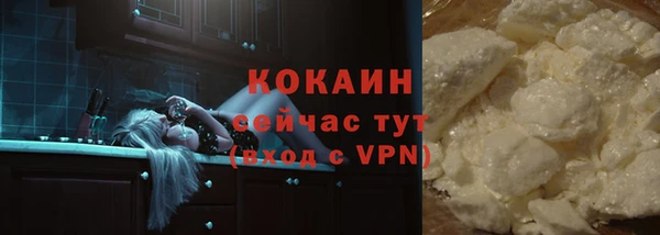 твердый Балахна