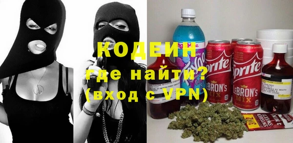 шишки Богородицк