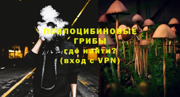 твердый Балахна
