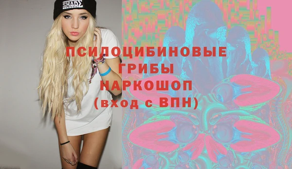не бодяженный Слюдянка