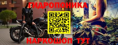 стафф Бийск