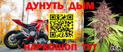 стафф Бийск