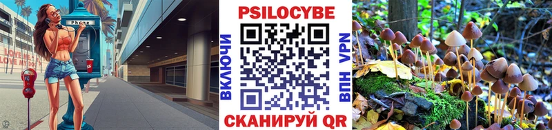 Галлюциногенные грибы Cubensis  Горячий Ключ 