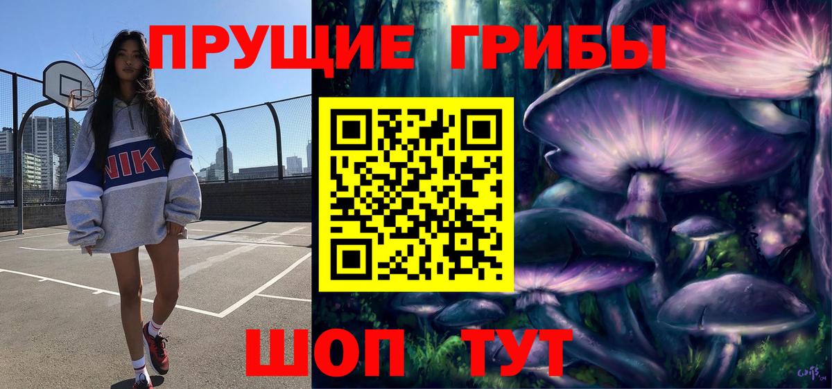 Галлюциногенные грибы Cubensis  Горячий Ключ 